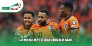 Soi kèo bóng đá Hà Lan vs Algeria | 01h45 ngày 04/06